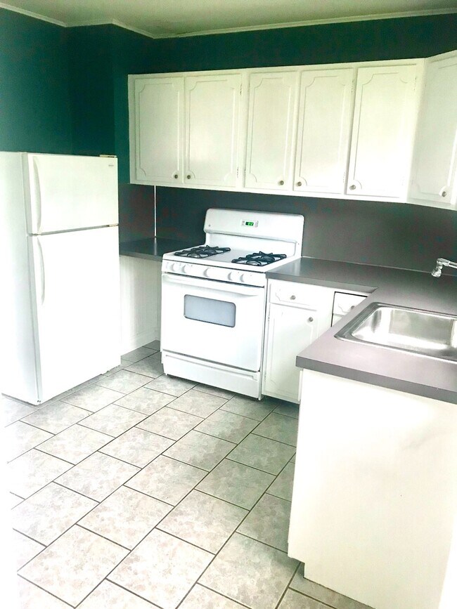 Kitchen - 119 Robinson St