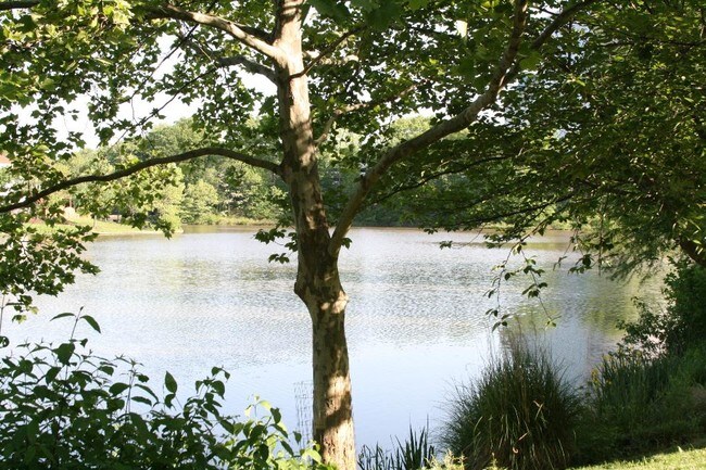 lake - 2926 Yarling Ct