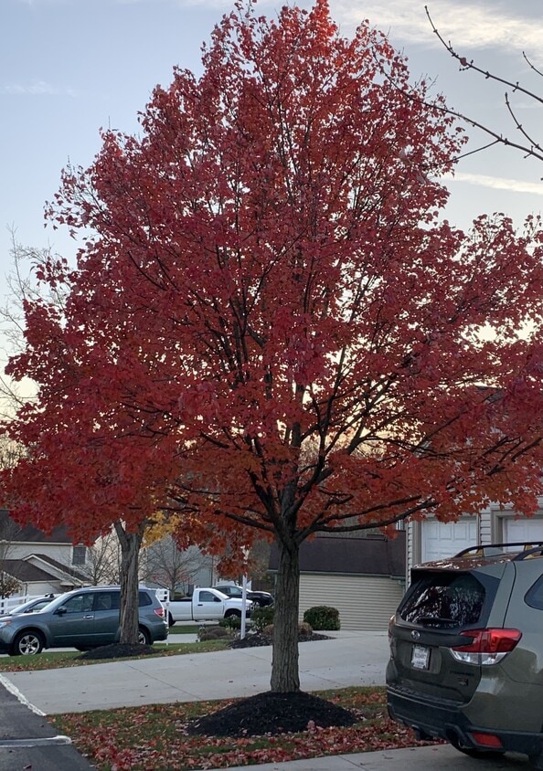 Building Photo - 120 Maria Dr