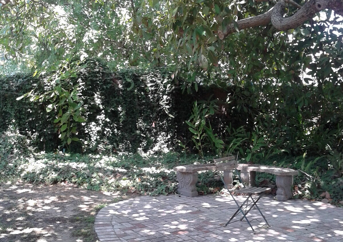 Patio trasero - 1508 Madrid Ave