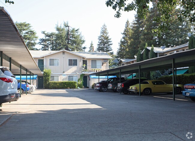 Bellflower Apartments Lodi Ca Bellflower Apartments Lodi Ca