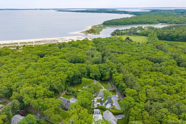 Foto del edificio - 4525 S Harbor Rd