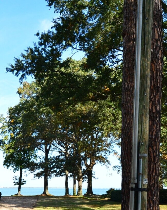 Building Photo - Water View, private wooded lot on dead end...