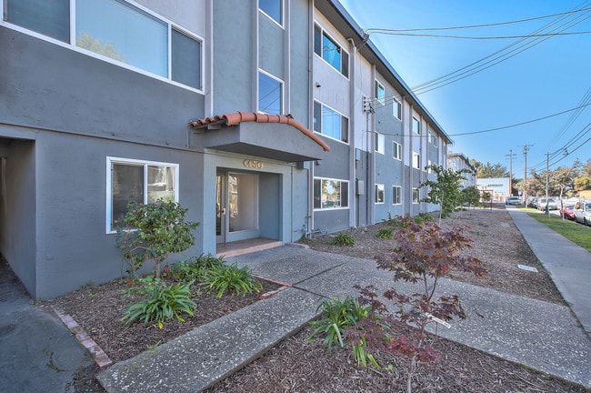 Buena Vista Apartments Apartments  Alameda, CA  Apartments.com