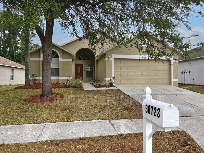 30723 Birdhouse Dr, Wesley Chapel, FL 33545 House Rental in Wesley