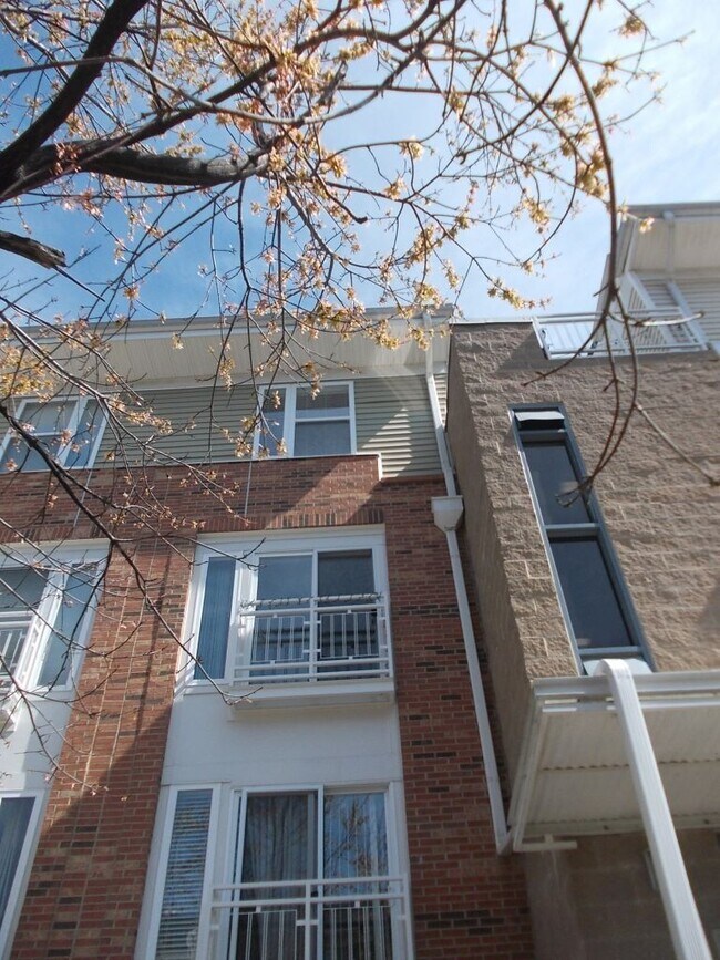 Foto del edificio - Awesome 2 Bed Condo in Desired NODA - The ...