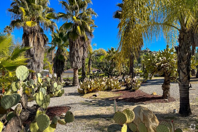 Cactus garden 2