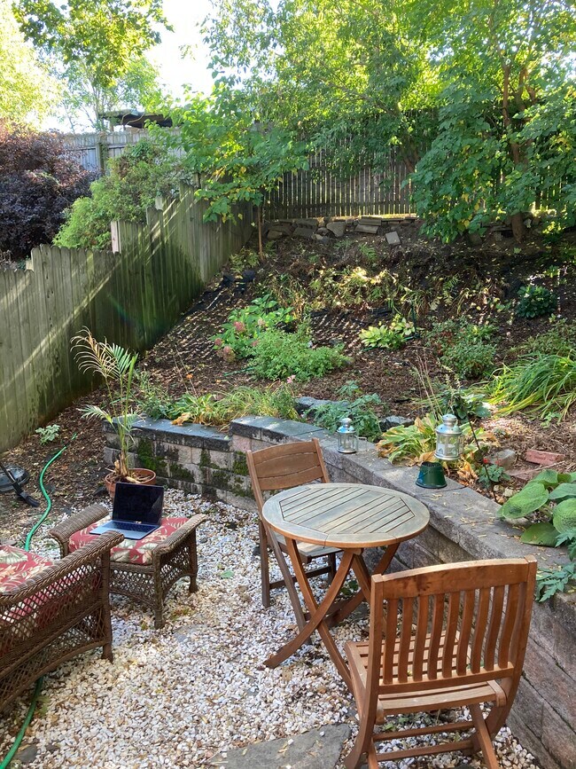 backyard - 316 Hudson Ave