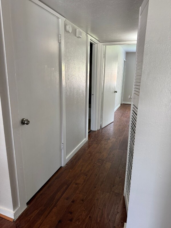 Foto del edificio - 562 Shadowcrest Ln