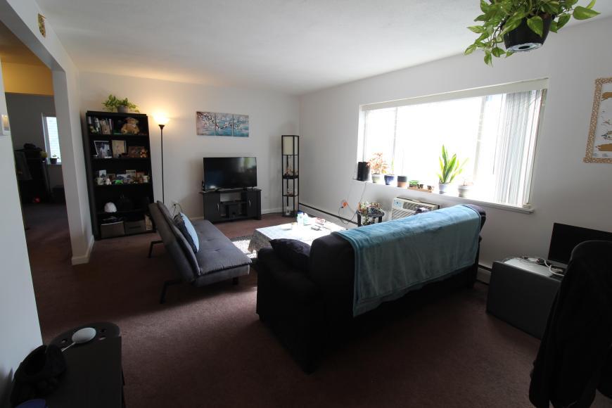 Primary Photo - 1.0 bedroom in Cambridge Massachusetts 02139