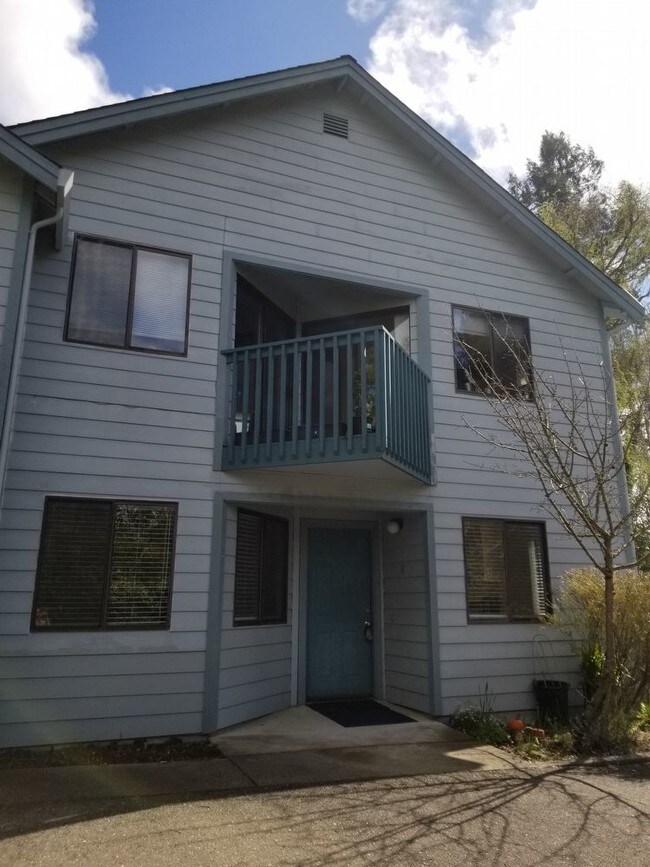 Downstairs Sebastopol Apartment Apartment for Rent in Sebastopol, CA