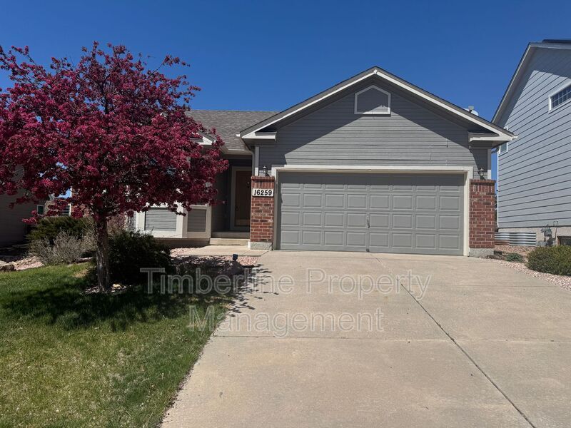Primary Photo - 16259 Windy Creek Dr