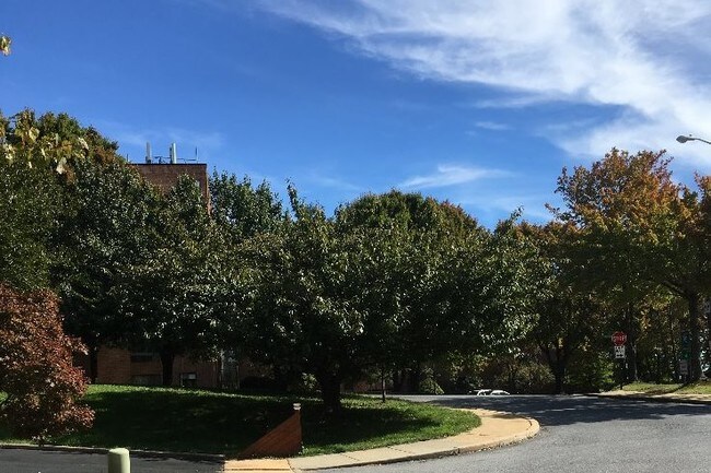 Foto del edificio - 517 Lafayette Blvd