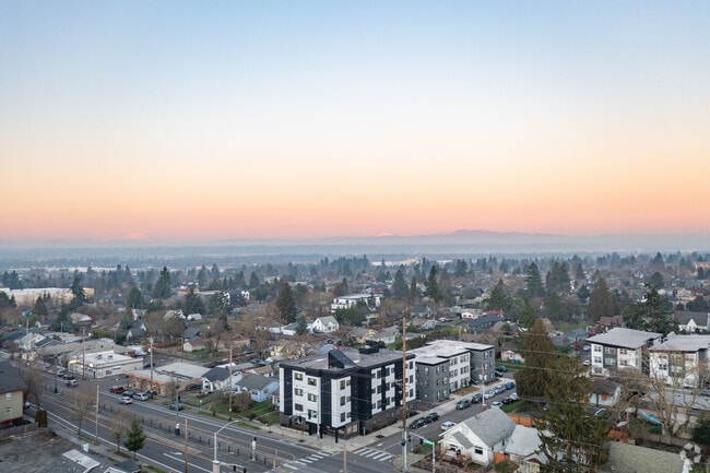 Aerial Photo - The Zelkova