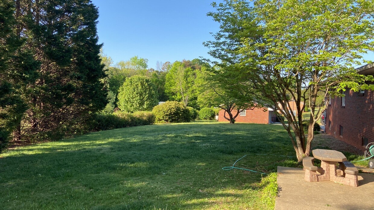 Backyard - 958 W Clemmonsville Rd