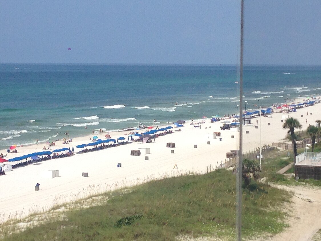 8817 S Thomas Dr, Panama City Beach, FL 32408 Condo for Rent in