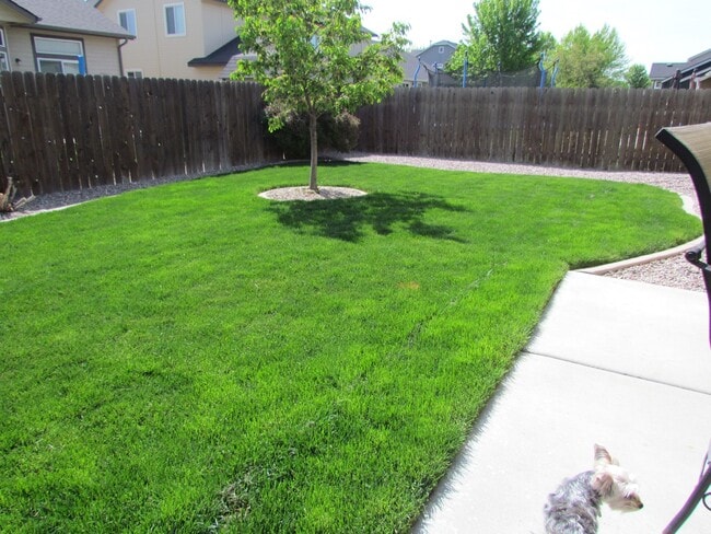 Building Photo - 4 bedroom 2 bath + Bonus Room home and nei...