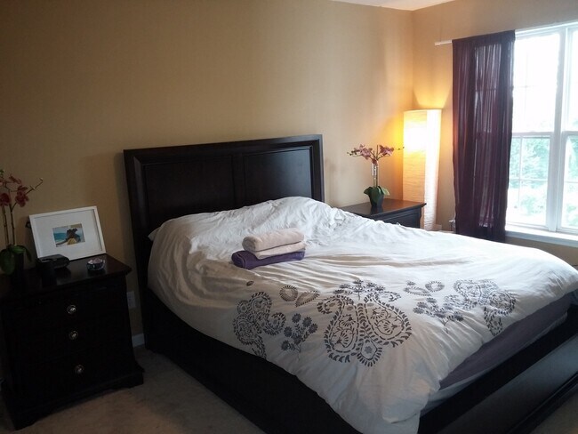Master Bed - 168 Hudson Dr
