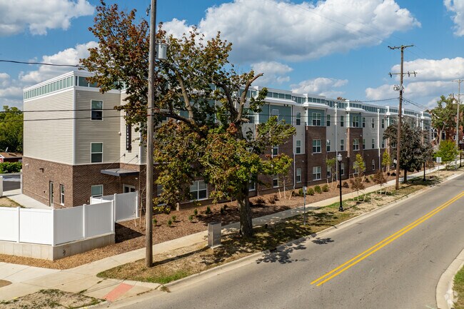 El bosque verde - The Greenwood