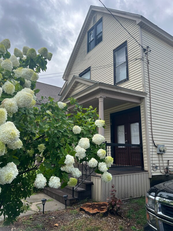 Primary Photo - 16 Stewart St