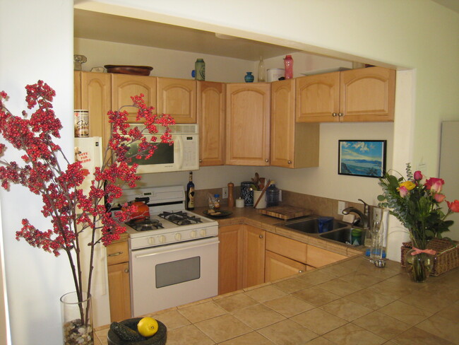Building Photo - 1064 Sapphire St