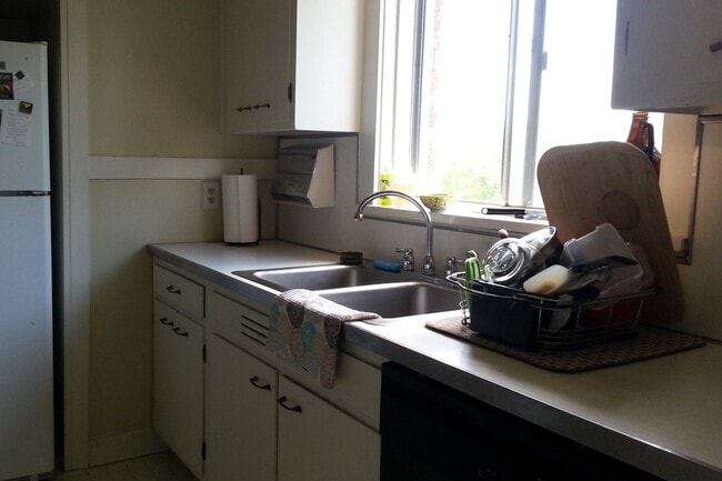 Dish washer/soft water - Elthan Place