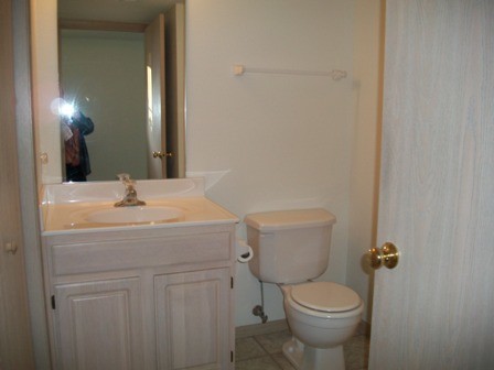 HALL BATH - 1208 Pebblecreek Dr