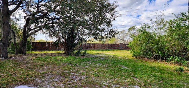 Back Yard - 4002 Bolinas Ct