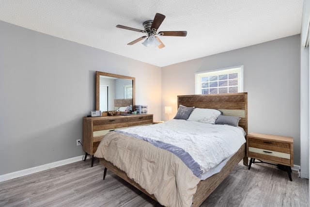 Foto del edificio - 117 Georgetown Dr