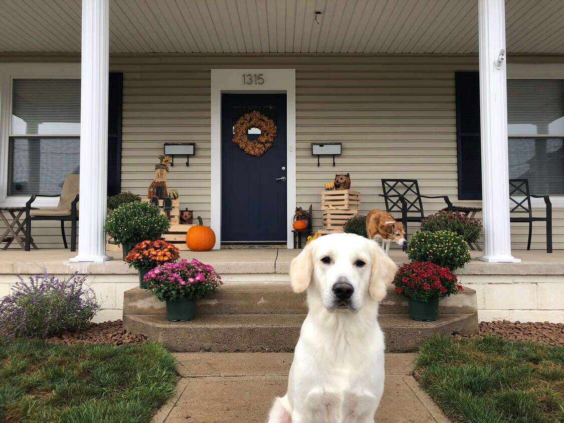 1315 Spring Garden Ave, Berwick, PA 18603 Townhome Rentals in Berwick