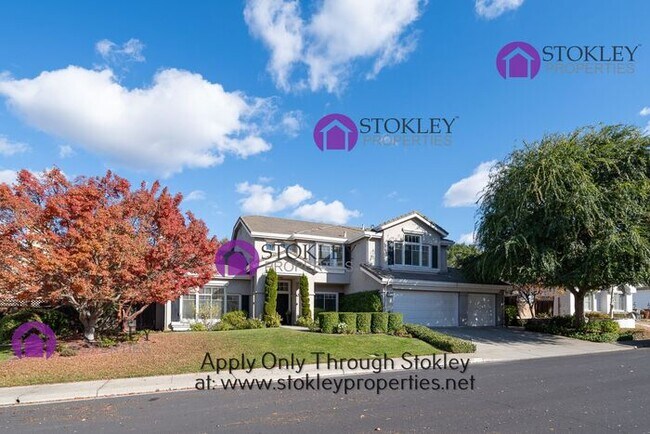 Building Photo - Stokley Properties Presents 1038 McCauley ...