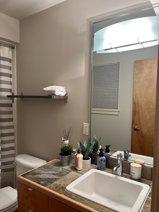 Mirror2 in the first bathroom - 318 McAlpine St