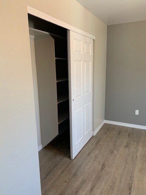 bedroom closet - 727 Ruth St