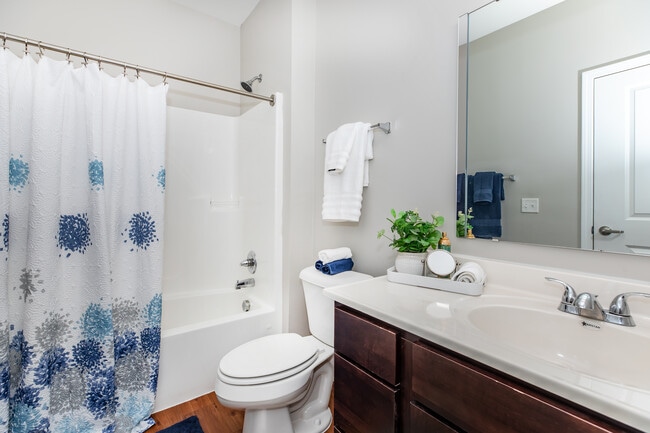 Photo - Vivio on Tenth Apartments