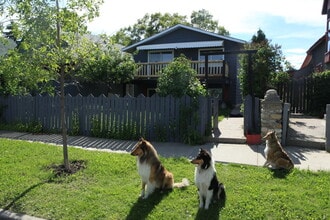 Building Photo - 1125-1110 10 St SE