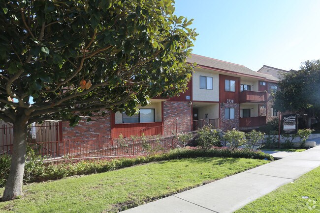 3736 Jasmine, ¡alejado - 3736 Jasmine Ave