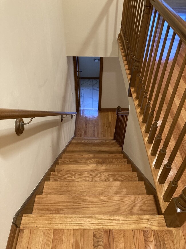 Building Photo - 30 Mansfield Dr