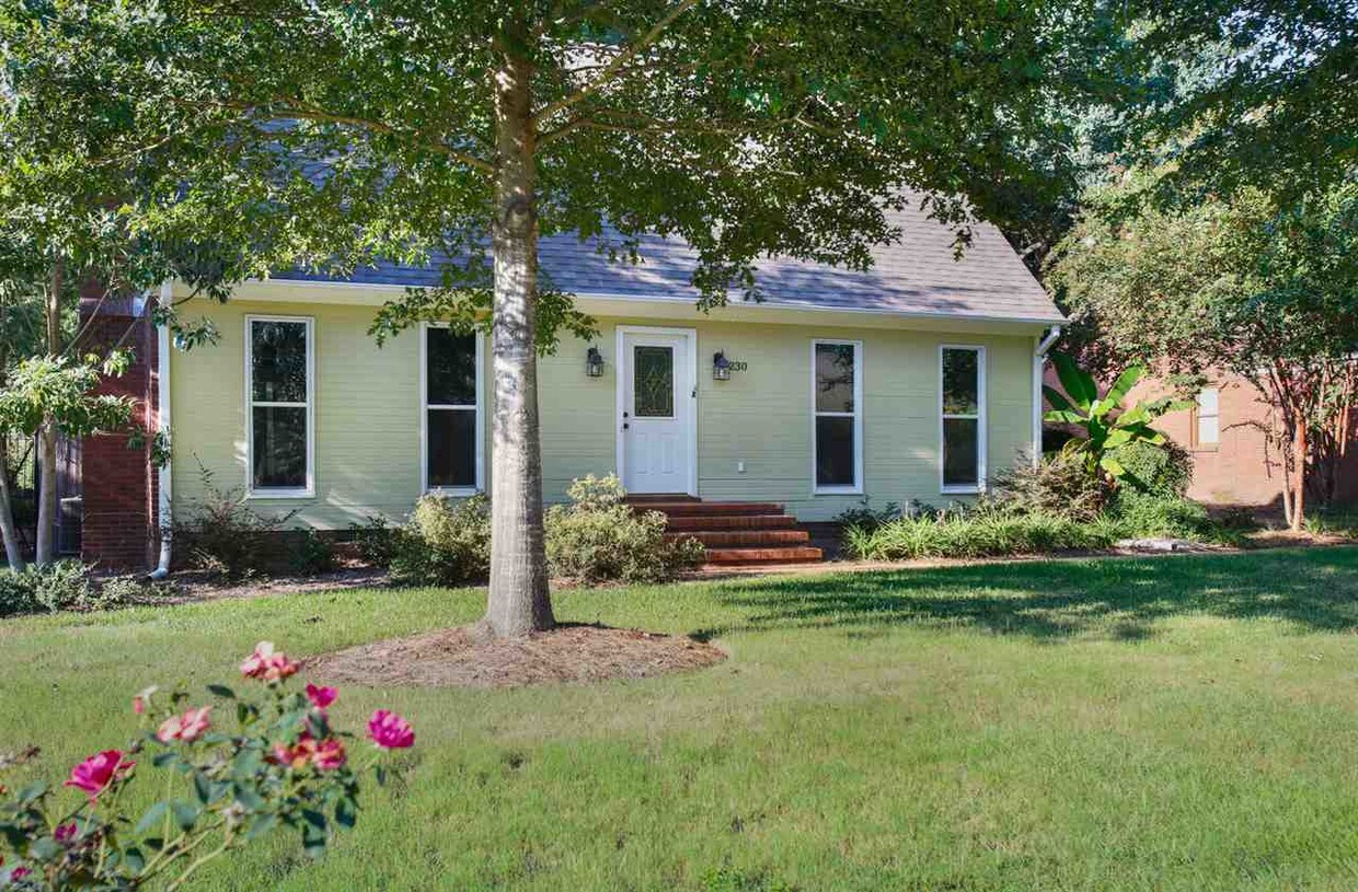 230 Heritage Dr, Madison, MS 39110 House Rental in Madison, MS