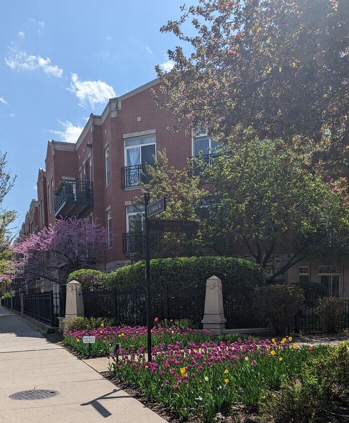 Foto principal - 1406 S Halsted St