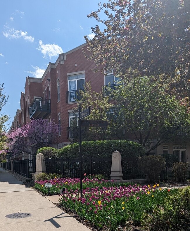 Building Photo - 1406 S Halsted St