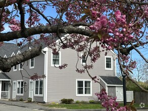 Building Photo - 16 Mussey St