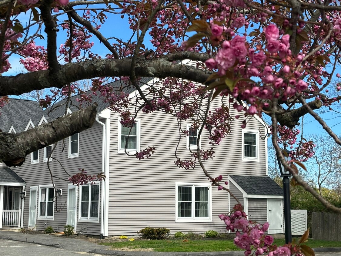 Photo - 16 Mussey St (South Portland, ME)