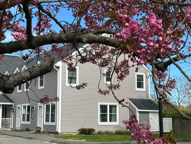 Photo - 16 Mussey St Apartment