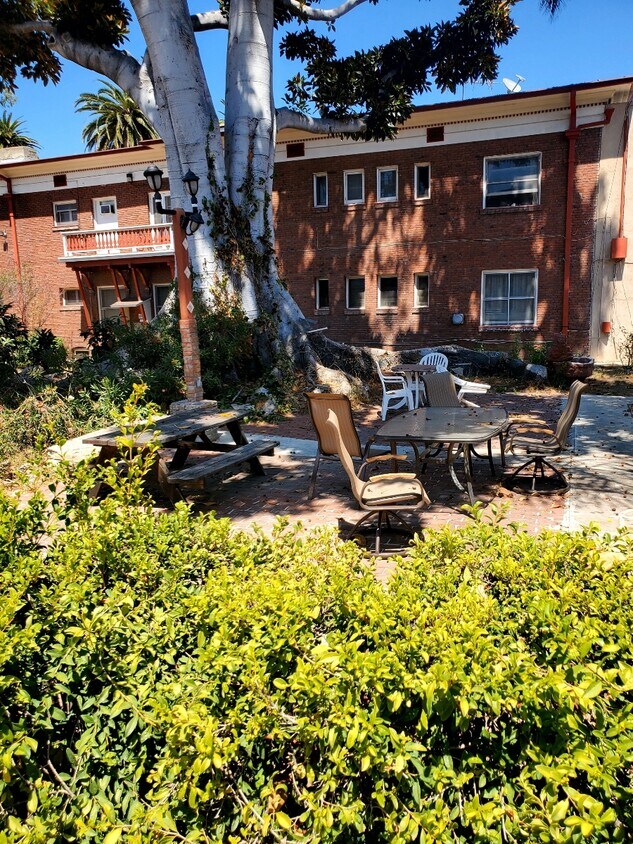 Relaxed area to read or just enjoyed nature - 2324 Scarff St