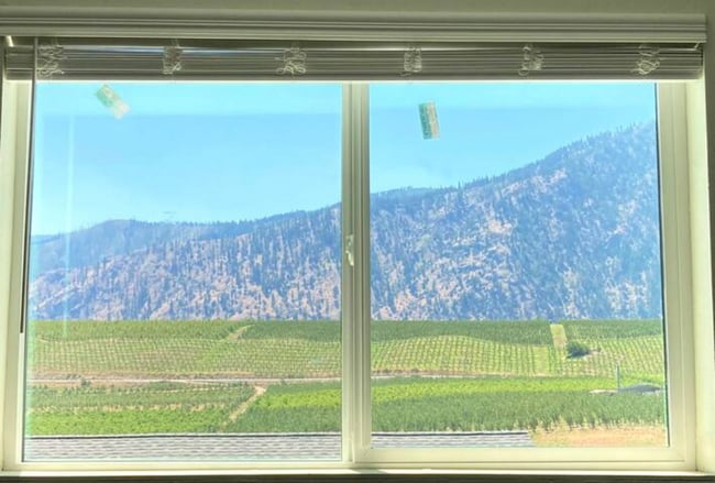 vista desde la ventana de la cocina - 2400 Washington St