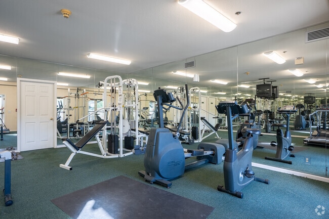 Gimnasio - Baytree Apartments