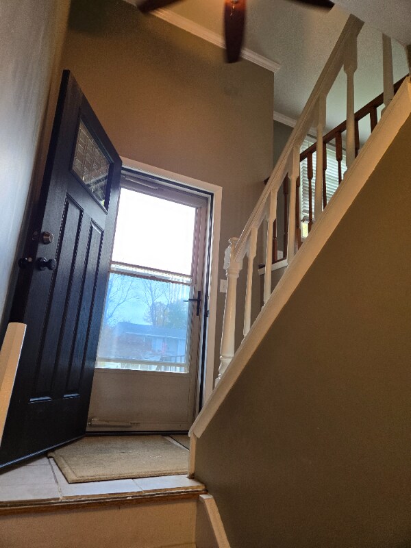 Foto del edificio - 207 Old Cove Rd