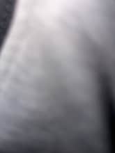 Building Photo - 4332 NW 173rd Dr