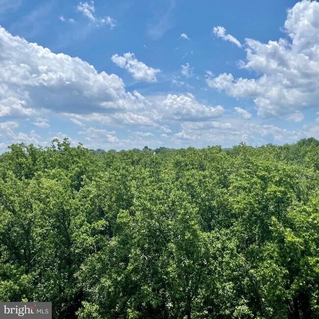Foto del edificio - 9039 Sligo Creek Pkwy