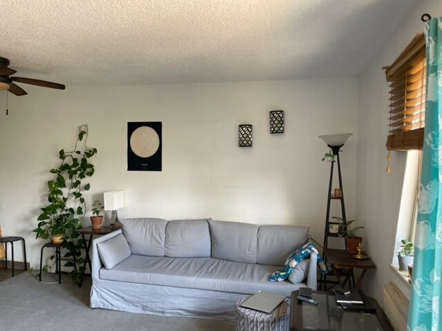 Living Room East - 3150 Iris Ave